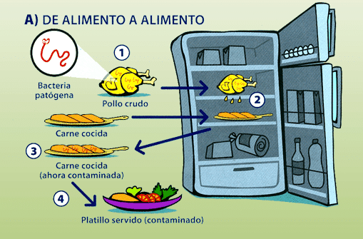 No subas de peso en Diciembre 6 contaminación cruzada alimentos