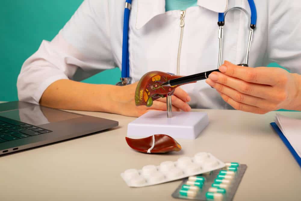 Guía de alimentación para Cálculos Renales 9 doctor mostrando pluma primer plano higado humano modelo plastico