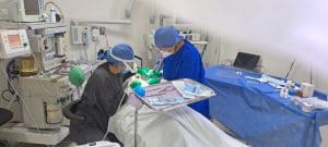 Dentista en Guadalajara - Experta en niños. Agenda aquí 2 IMG 20250424 WA0001