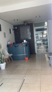Ortodoncista en Tepic. Claudia Leticia Flores Carrillo. Resultados efectivos 14 WhatsApp Image 2026 10 14 at 1.31.21 PM 1